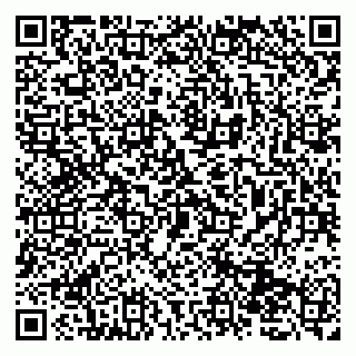 vCard 79131022039