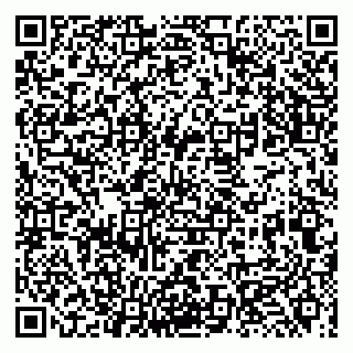 vCard 79131024411