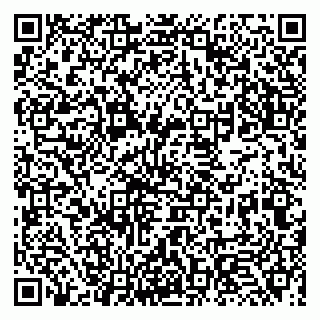 vCard 79131025380