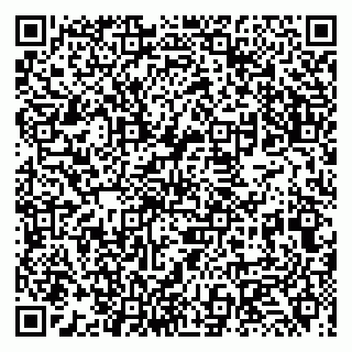 vCard 79131030039