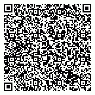 vCard 79131030178
