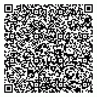 vCard 79131030539