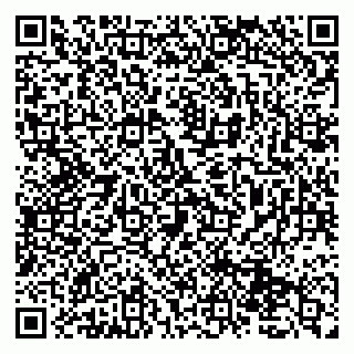 vCard 79131032249