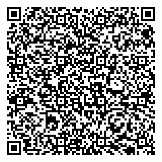 vCard 79131032300