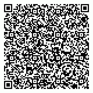 vCard 79131033215
