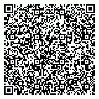 vCard 79131033539