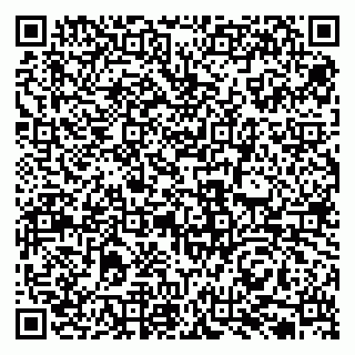 vCard 79131037039