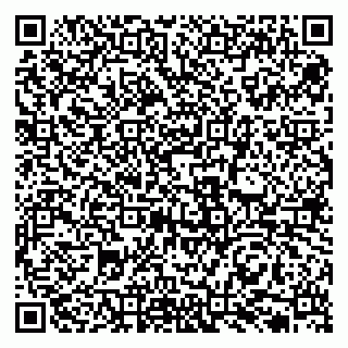 vCard 79131038039