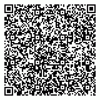 vCard 79131038911