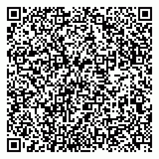 vCard 79131040039
