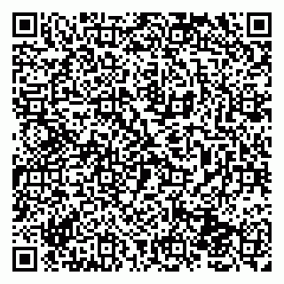 vCard 79131040139