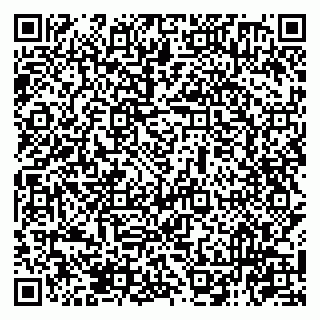 vCard 79131040841