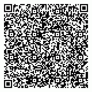 vCard 79131041007