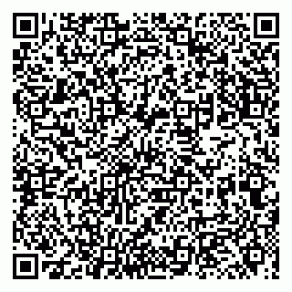 vCard 79131042039