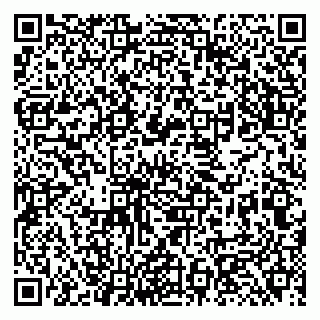 vCard 79131084020
