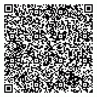 vCard 79131085741