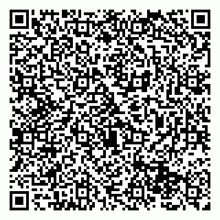 vCard 79131087285