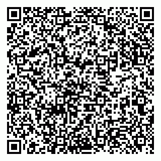 vCard 79131087331