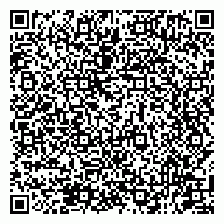 vCard 79131091007