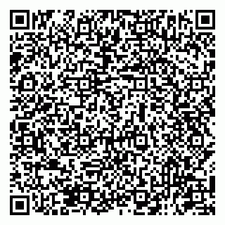 vCard 79131093046