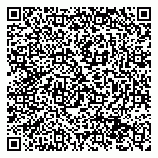 vCard 79131094015