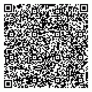 vCard 79131094030