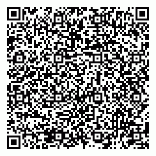 vCard 79131094082