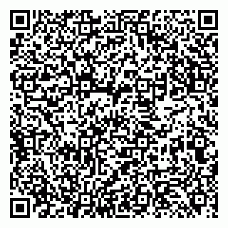 vCard 79131094294