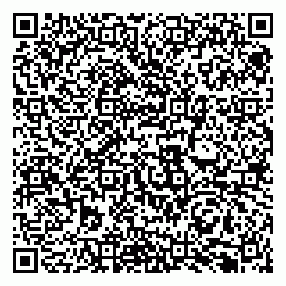 vCard 79131096005