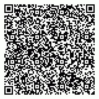 vCard 79131096899