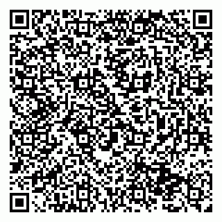 vCard 79131097103