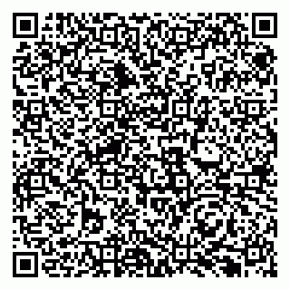 vCard 79131097294