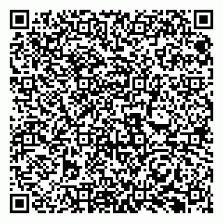 vCard 79131097352