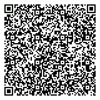 vCard 79131097697