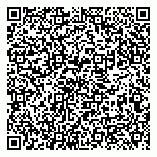 vCard 79131098005