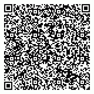 vCard 79131098960