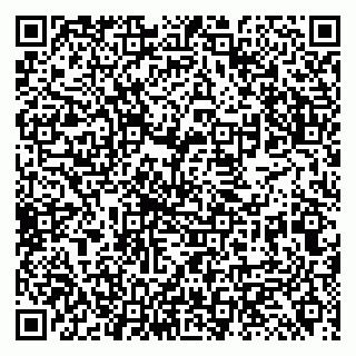 vCard 79131099072