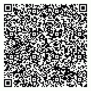 vCard 79131099080