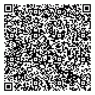 vCard 79131099208