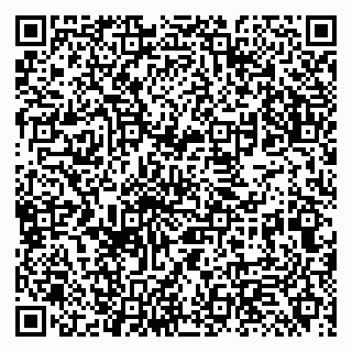 vCard 79131099343