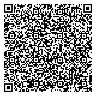 vCard 79131099415