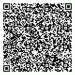 vCard 79131100501