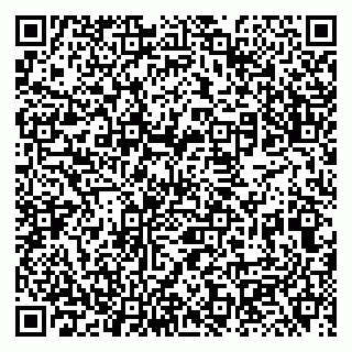 vCard 79131100528