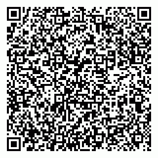vCard 79131100533