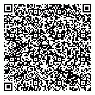 vCard 79131100535