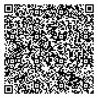 vCard 79131100540