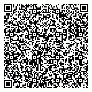 vCard 79131100544