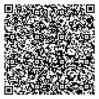 vCard 79131100577