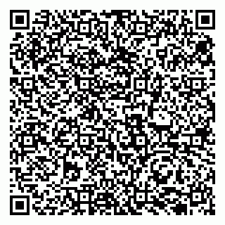 vCard 79131100599