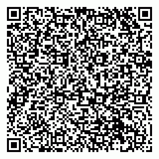vCard 79131101002
